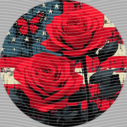 USA-MG 3899